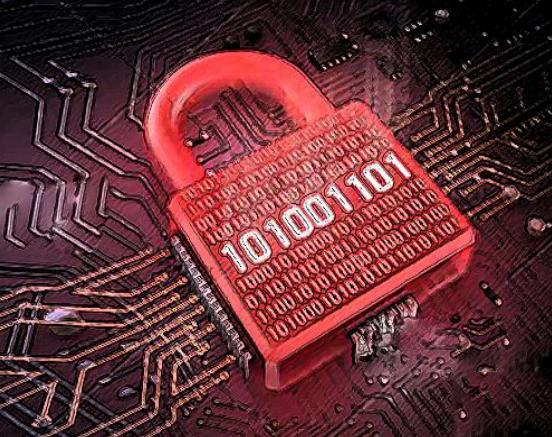 1617680832170624dg2v.jpg 图片6.jpg