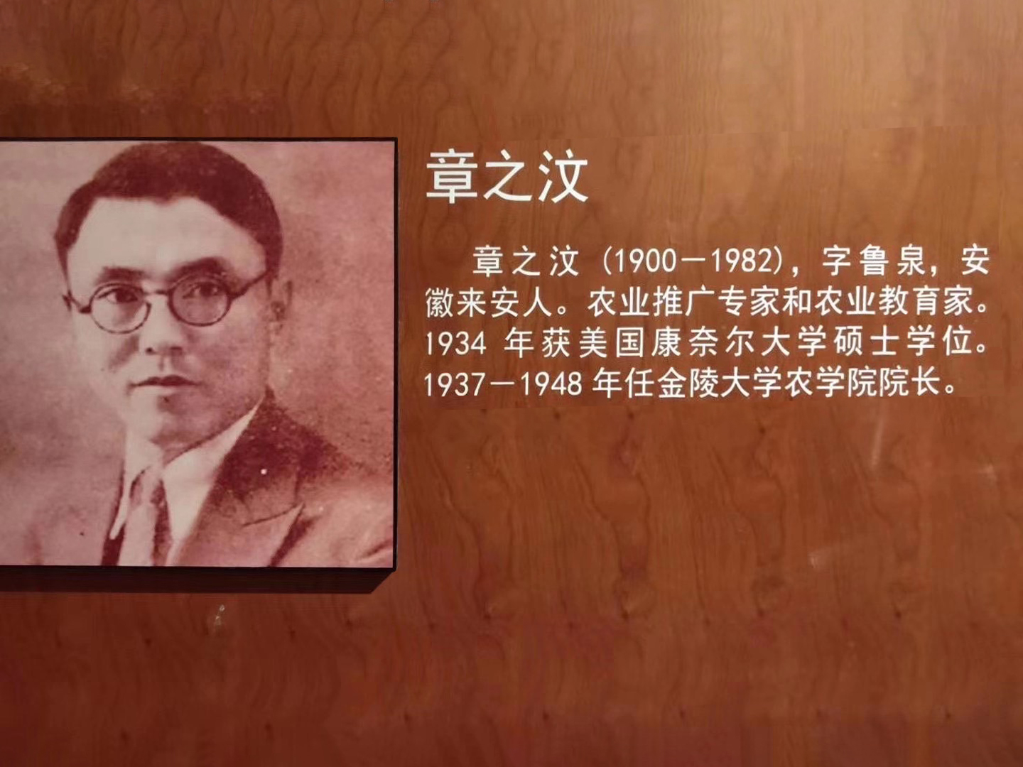 1603170624211156hp2B.jpg 1603170624211156hp2B.jpg